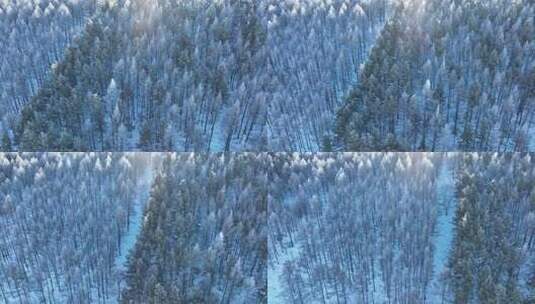 北方冬季森林雪景俯拍高清在线视频素材下载