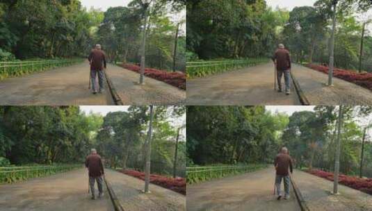 公园里蹒跚走路的老人高清在线视频素材下载