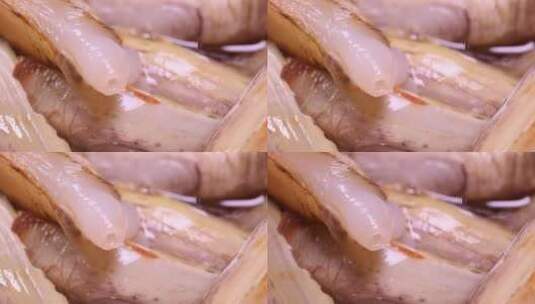 小人仙蛏子肉鲜活小海鲜高清在线视频素材下载