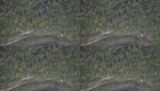 航拍森林上空的景色高清在线视频素材下载