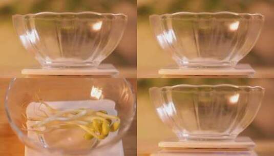 【镜头合集】玻璃碗厨房秤称豆芽重量高清在线视频素材下载