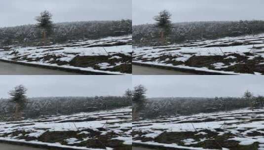 雪景 踏雪进山 雪中行 大雪高清在线视频素材下载