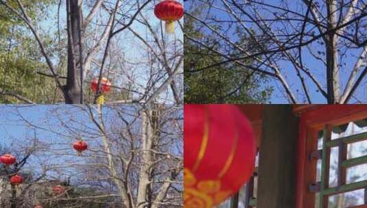 【镜头合集】喜庆吉祥大红灯笼春节装饰高清在线视频素材下载