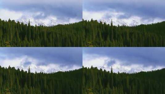 伊犁云雾环绕下的雪山森林自然风光延时高清在线视频素材下载