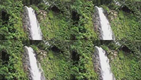 森林边缘的瀑布高清在线视频素材下载