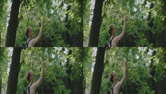 男人触摸树上的叶子高清在线视频素材下载