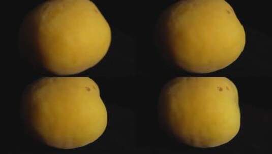 白杏杏核黄桃夏季水果高清在线视频素材下载
