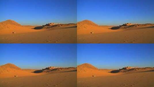 沙漠中的修道院高清在线视频素材下载