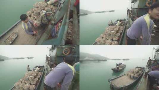 渔船回港渔民装卸海鲜高清在线视频素材下载