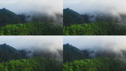 云雾中的山林高清在线视频素材下载