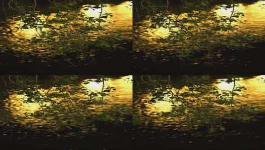 傍晚湖面上落日的倒影和随风摇曳的树枝高清在线视频素材下载