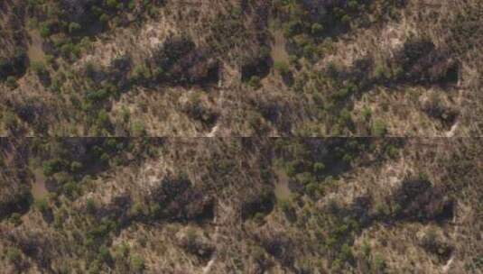 稀树草原地区空中拍摄高清在线视频素材下载