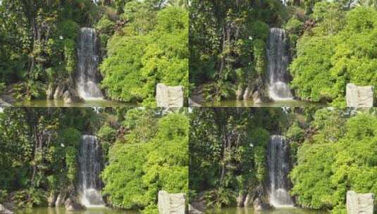 森林公园流水瀑布山水植被高清在线视频素材下载