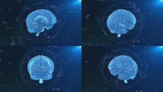 大脑素材4k高清在线视频素材下载