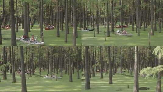 青山湖水上森林 划船高清在线视频素材下载
