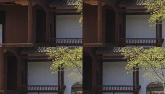 江南春天中式园林绿树庭院民居空镜高清在线视频素材下载