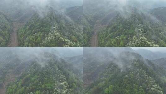 烟雨云雾缥缈的大山高清在线视频素材下载