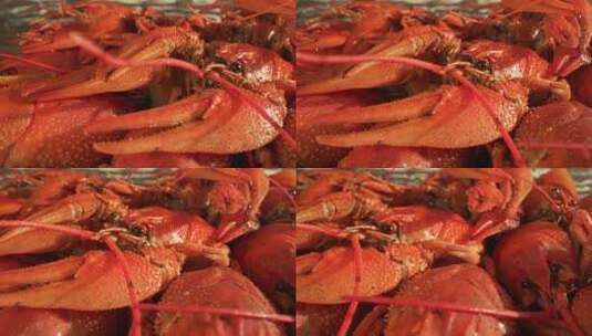 市场新鲜大龙虾高清在线视频素材下载
