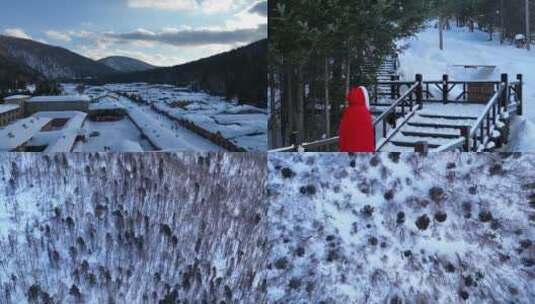 中国雪乡航拍远景大景冬季森林高清在线视频素材下载