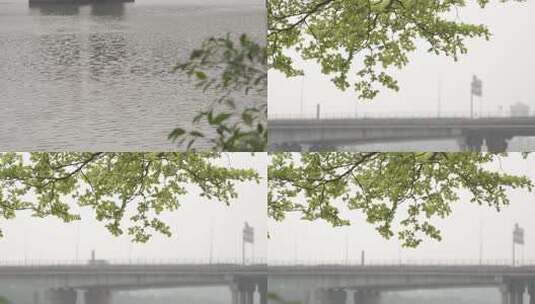 广州江边大桥 江水渔民美景 洛溪高清在线视频素材下载