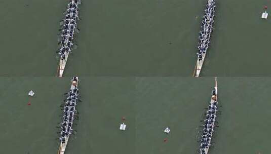 端午节赛龙舟比赛航拍龙舟俯拍龙舟划桨划船高清在线视频素材下载