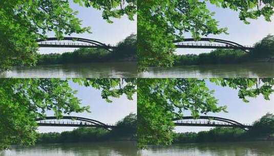 春天河边枫杨树下 两人骑车过桥高清在线视频素材下载