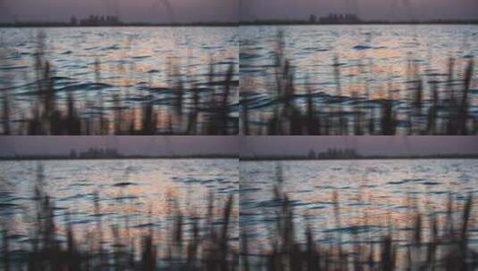 金色水面湖面夕阳水边水面波浪波光高清在线视频素材下载
