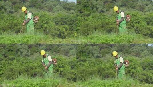 城市绿化工人除草高清在线视频素材下载