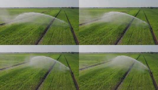 农业洒水车给农田浇水高清在线视频素材下载