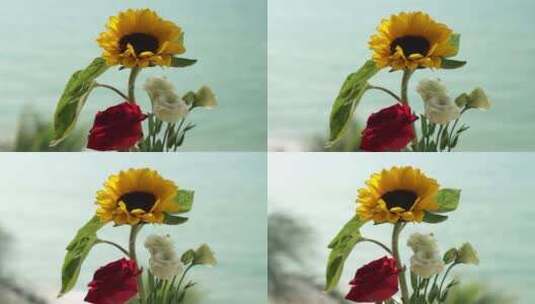 鲜花阳光向日葵高清在线视频素材下载