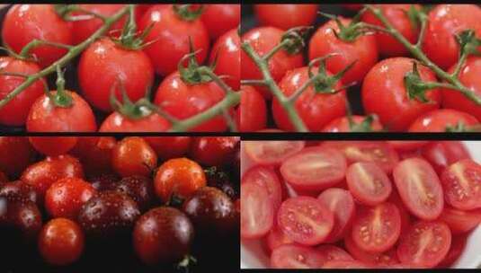 合集-精品番茄圣女果高清在线视频素材下载
