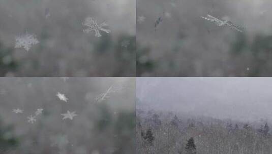 雪花演变过程下雪各种雪花类型三维动画高清在线视频素材下载