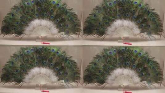 中国扇博物馆 孔雀羽毛扇高清在线视频素材下载