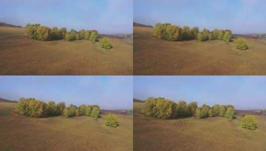 内蒙乌兰布统的秋天高清在线视频素材下载