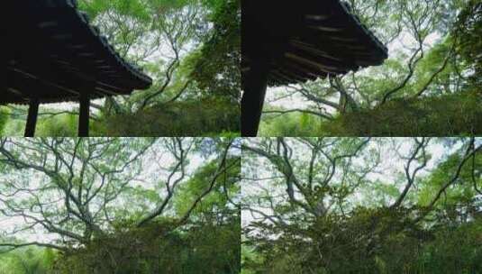 广州越秀公园古建筑 中式园林庭院 飞檐翘角高清在线视频素材下载