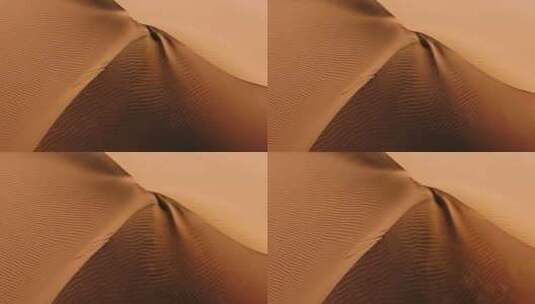 金色的沙丘高清在线视频素材下载