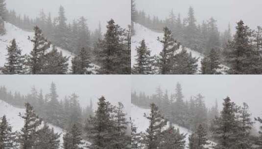 贺兰山金顶雪景视频 (9)高清在线视频素材下载