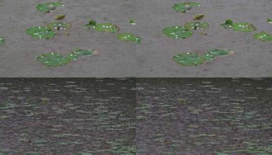 池塘下雨空镜高清在线视频素材下载