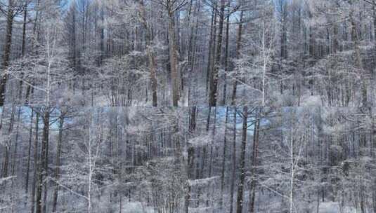 雪林雾凇景观高清在线视频素材下载