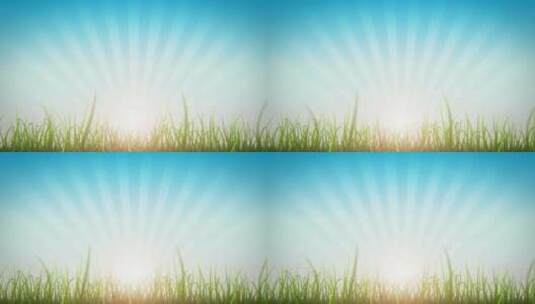 阳光绿色草地背景动画高清在线视频素材下载