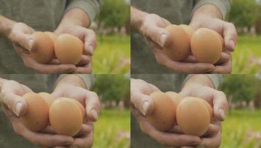农家鸡蛋高清在线视频素材下载