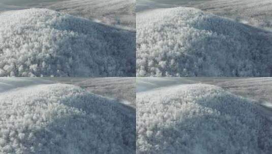 航拍大兴安岭冬季雾凇美景高清在线视频素材下载