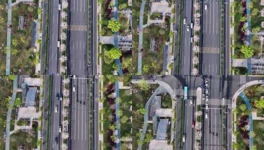 俯拍杭州未来科技城文一西路樱花大道高清在线视频素材下载