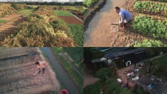 航拍广州都市中的蔬菜园和果园种植高清在线视频素材下载