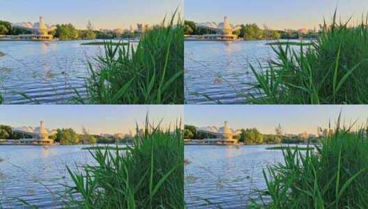 初夏傍晚夕阳下的朝阳公园湖面风光高清在线视频素材下载