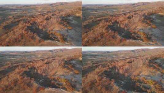 内蒙古乌兰布统大草原秋色航拍高清在线视频素材下载