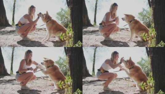 快乐的年轻女子在公园户外训练她的狗Aki高清在线视频素材下载