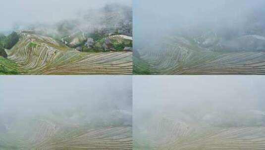 晨雾中的梯田高清在线视频素材下载