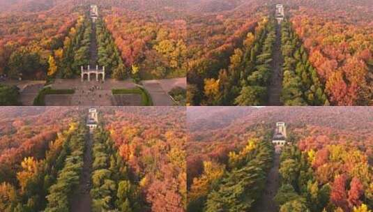 南京钟山风景区灵谷寺秋景高清在线视频素材下载