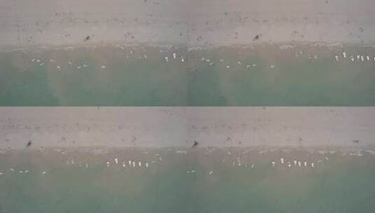 广西北海银滩航拍高清在线视频素材下载